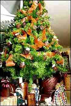 natal-16